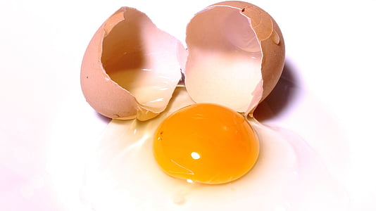 yellow native egg yolk thumbnail