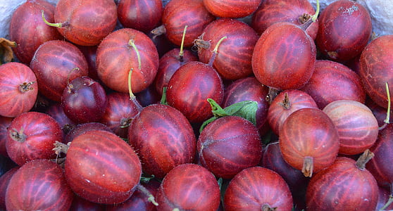 round red fruits thumbnail