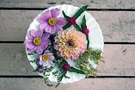 purple poppies and pink dahlia centerpiece thumbnail