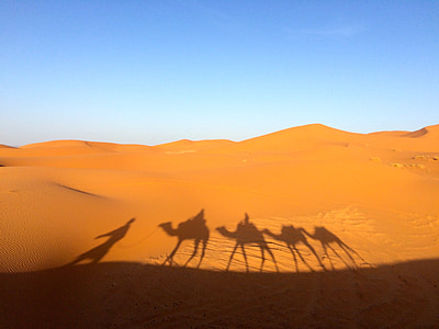 silhouette of three people and four camel reflect on desert sand photo taken during daytime thumbnail