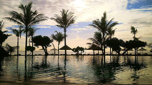 calm body of water near coconut trees thumbnail