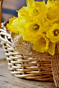 yellow flowers thumbnail