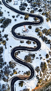 trees covered by snow thumbnail