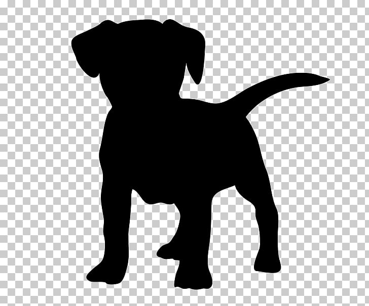 Jack Russell Terrier Puppy Cat Pet Puppy Png Clipart Free