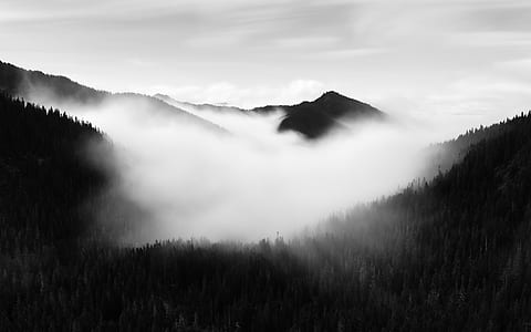 grayscale photography of mountain covered with fog thumbnail