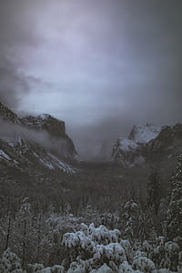 trees and cliffs covered with snow thumbnail