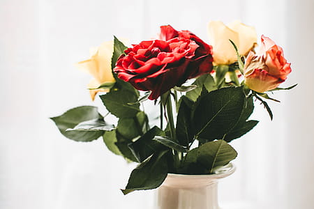 Red and White Flowers With White Vase thumbnail