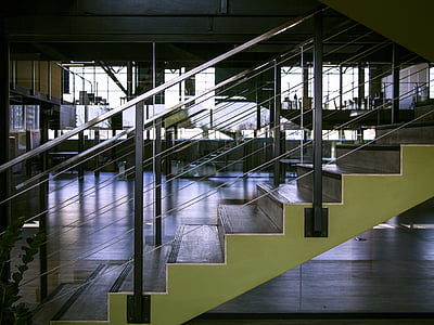 wooden staircase near glass window thumbnail