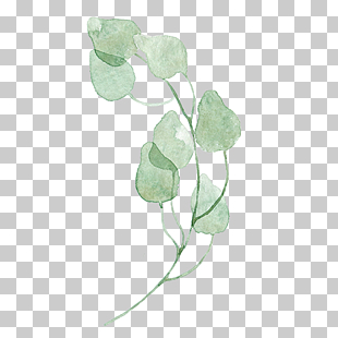 Leaf Green Watercolor painting, Watercolor leaves, green leaves PNG clipart