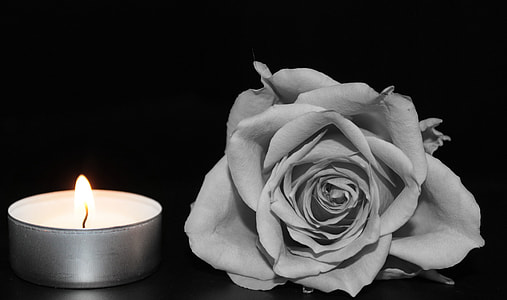 selective color photography of white tealight candle beside rose thumbnail