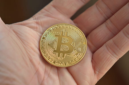 person holding round gold-colored Bitcoin coin thumbnail