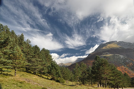 nature photography of tree and mountain at daytime thumbnail