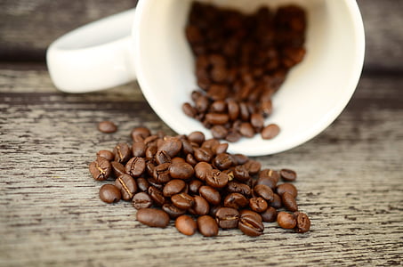 brown coffee beans thumbnail