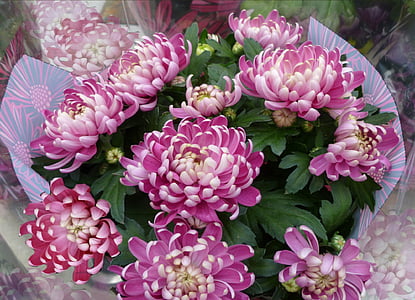 bouquet of purple flowers thumbnail