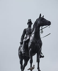 sky, bird, statue, monument thumbnail