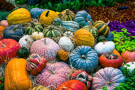 assorted-color of vegetable decor lot thumbnail