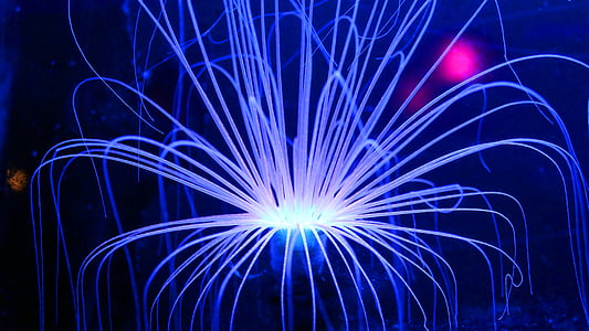 white fiber optic digital wallpaper thumbnail