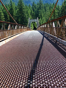 gray and brown concrete bridge near forest thumbnail