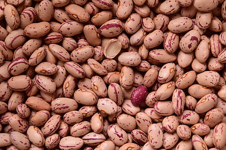 bunch of beans thumbnail
