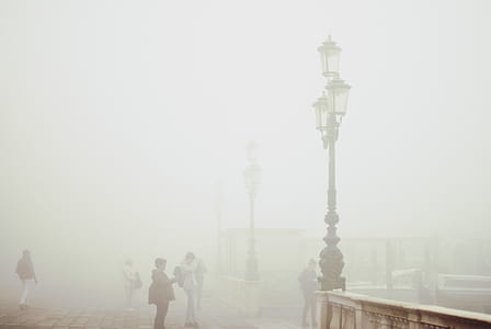 silhouette photography of group of people at park covered with mist thumbnail