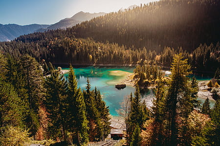 ship docked beside forest thumbnail