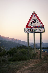 road signage near asphalt road thumbnail