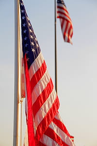 closeup photo of USA flag thumbnail