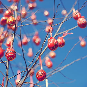 selective focus photograph of red bauble balls on branches thumbnail