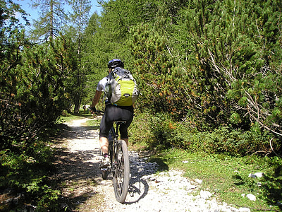 man riding bicycle between green trees thumbnail