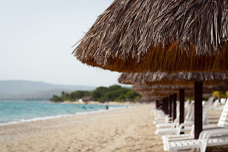 Beach Loungers under Thatches by the Sea thumbnail