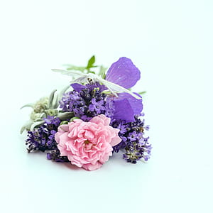 purple and pink petaled flowers on gray surface thumbnail