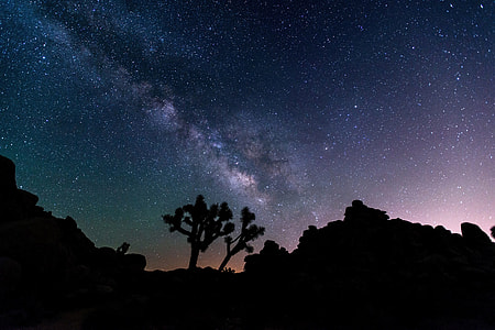 Night landscape, trees, and galaxy at Joshua Tree National Park, California thumbnail