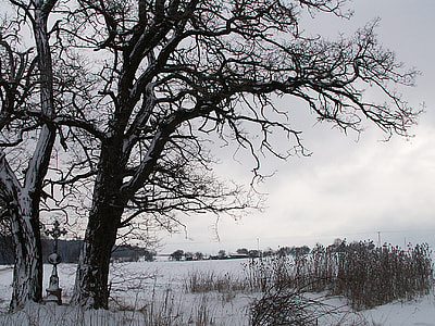 Winter and Snow landscape in Nottingham, England thumbnail
