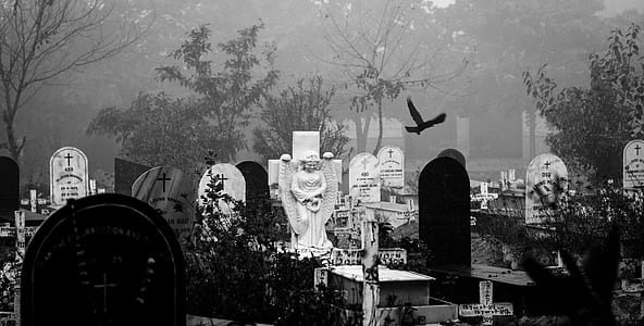 grayscale photography of person standing near tombs thumbnail
