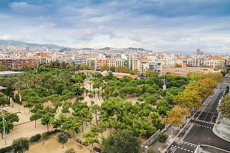 aerial photo of park in middle of city illustration thumbnail