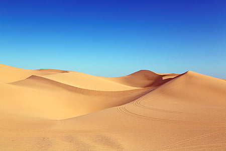 brown Desert thumbnail