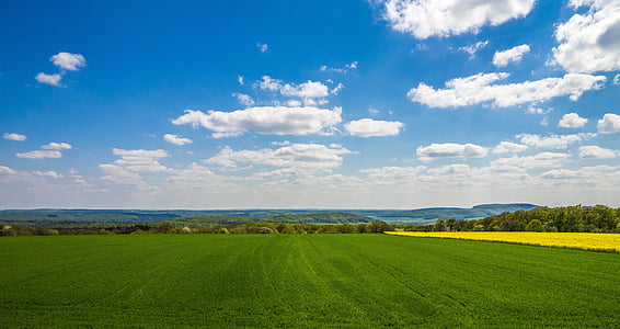 green grass field under white clouds thumbnail