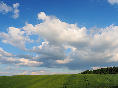 cirrus clouds thumbnail
