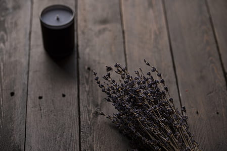 lavender on brown wooden floor thumbnail