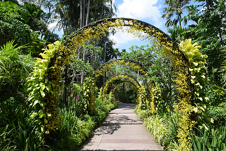 gray concrete pathway surrounded by green leaf plants thumbnail