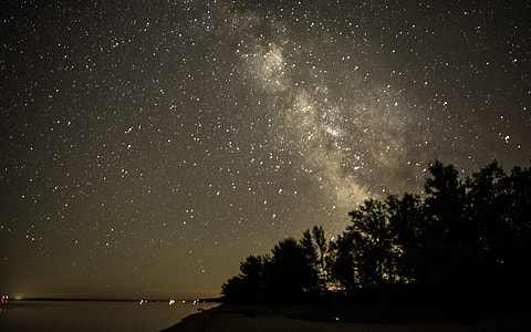 Milky Way Beyond the Trees in Bayfield, Wisconsin thumbnail