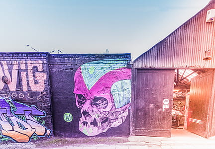 purple and pink skull mural thumbnail