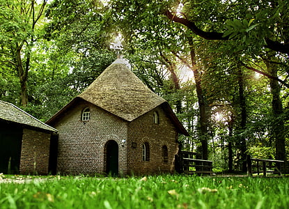brown concrete house under tree thumbnail