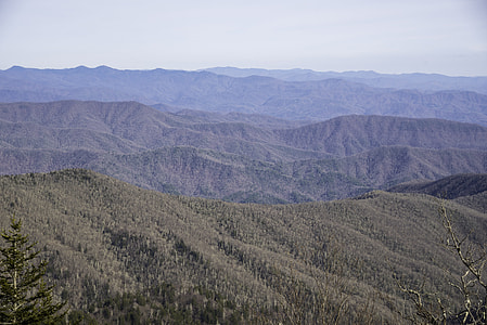Mountain Silhouettes in the landscape in Great Smoky Mountains National Park, Tennessee thumbnail