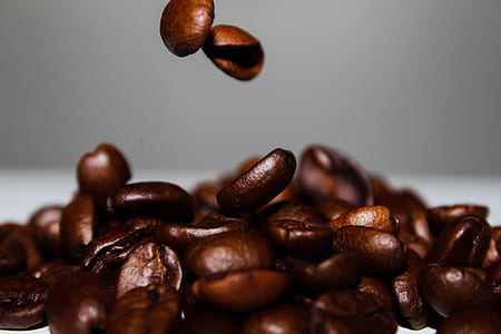brown coffee beans thumbnail