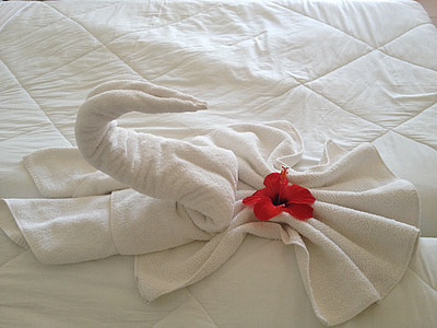 red hibiscus on white towel close up photo thumbnail