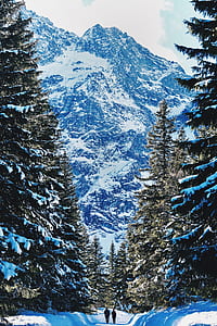two person walking on pathway covered with snow thumbnail