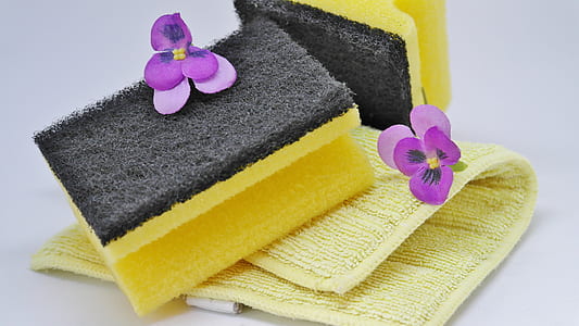 yellow and black sponge thumbnail