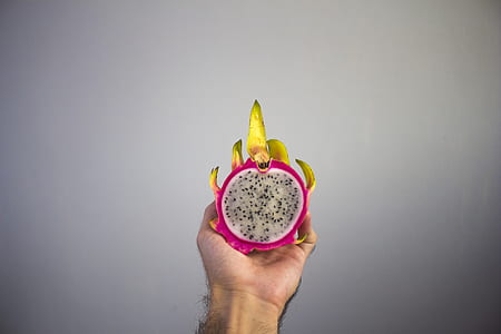 food, hand, seeds, holding thumbnail