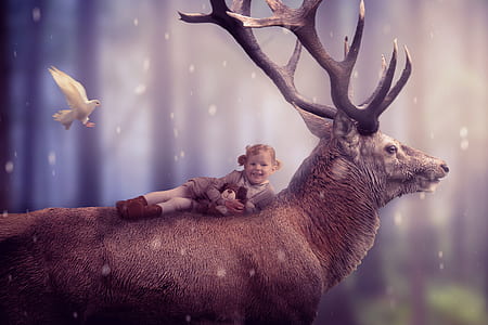 girl wearing gray cardigan on brown deer illustration thumbnail